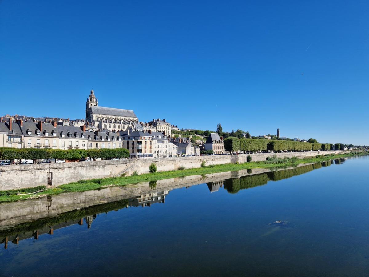 Le Saint Jean Et Son Parking Privee Apartment Blois Luaran gambar