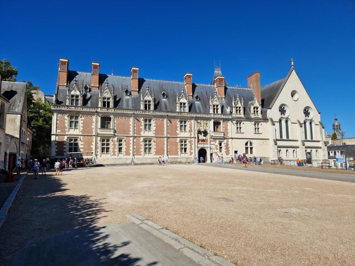 Le Saint Jean Et Son Parking Privee Apartment Blois Luaran gambar