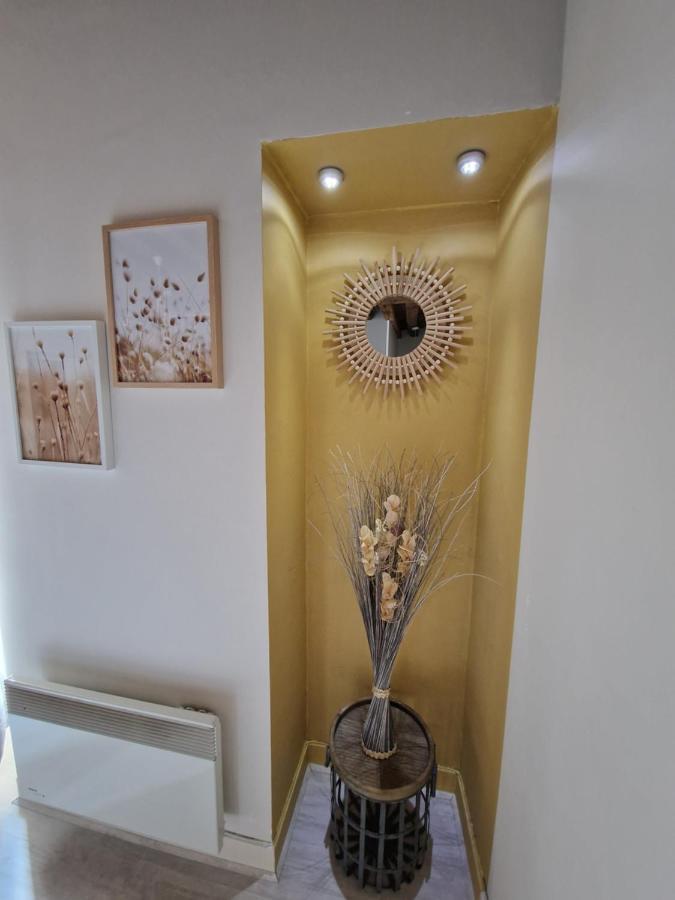 Le Saint Jean Et Son Parking Privee Apartment Blois Luaran gambar