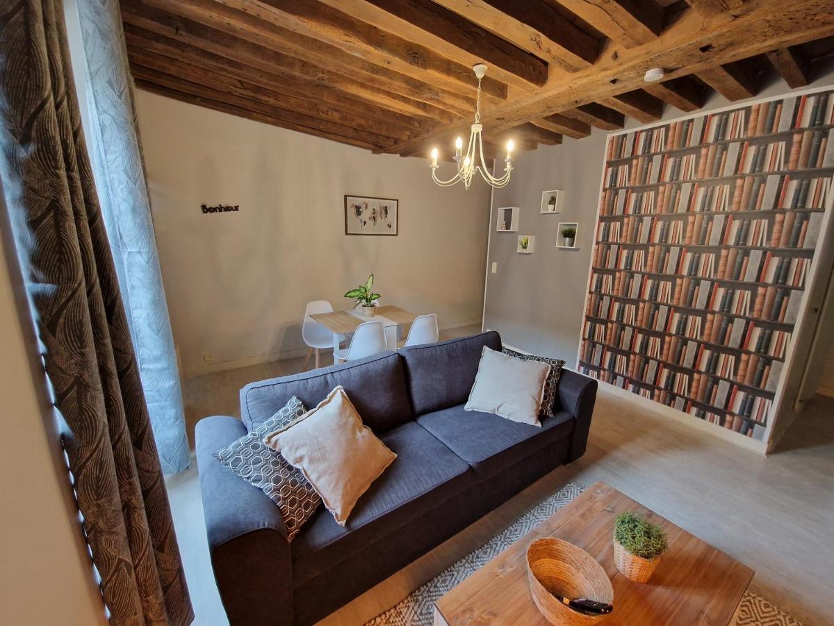 Le Saint Jean Et Son Parking Privee Apartment Blois Luaran gambar